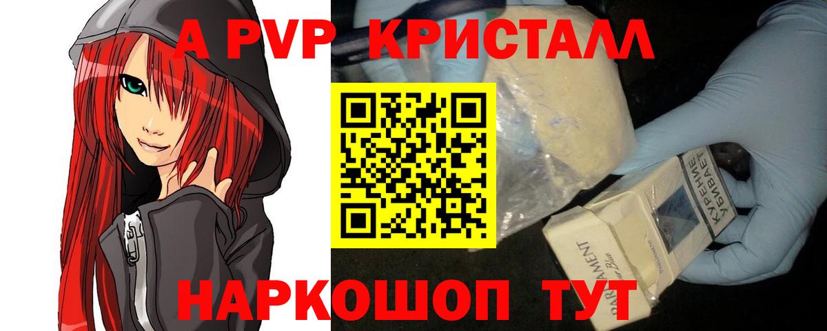 Alfa_PVP СК КРИС  Вход с VPN  Архангельск 