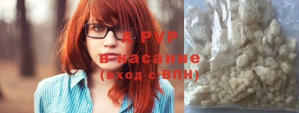 ПСИЛОЦИБИНОВЫЕ ГРИБЫ Абаза