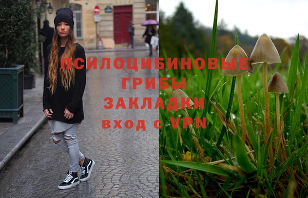 соль ск Абдулино
