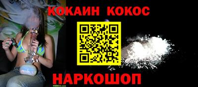 дмт Шелехов