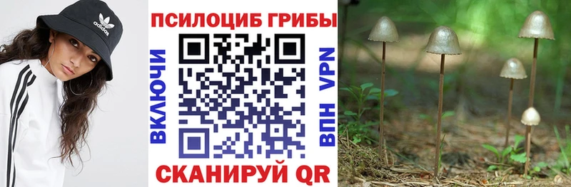 продажа наркотиков Архангельск Псилоцибиновые грибы GOLDEN TEACHER